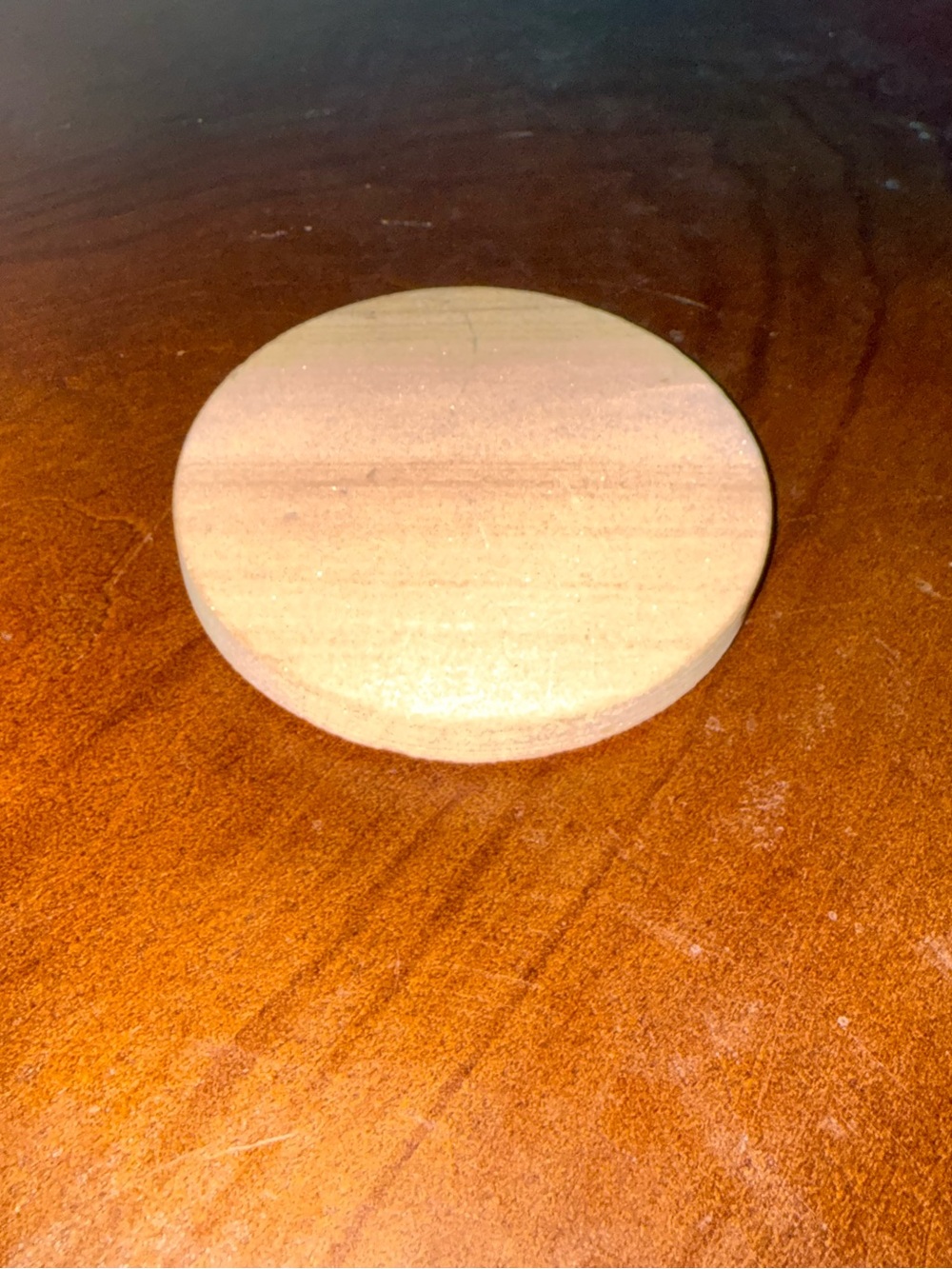 Thirstystone Round Sandstone 4” Cork Coaster - Tan